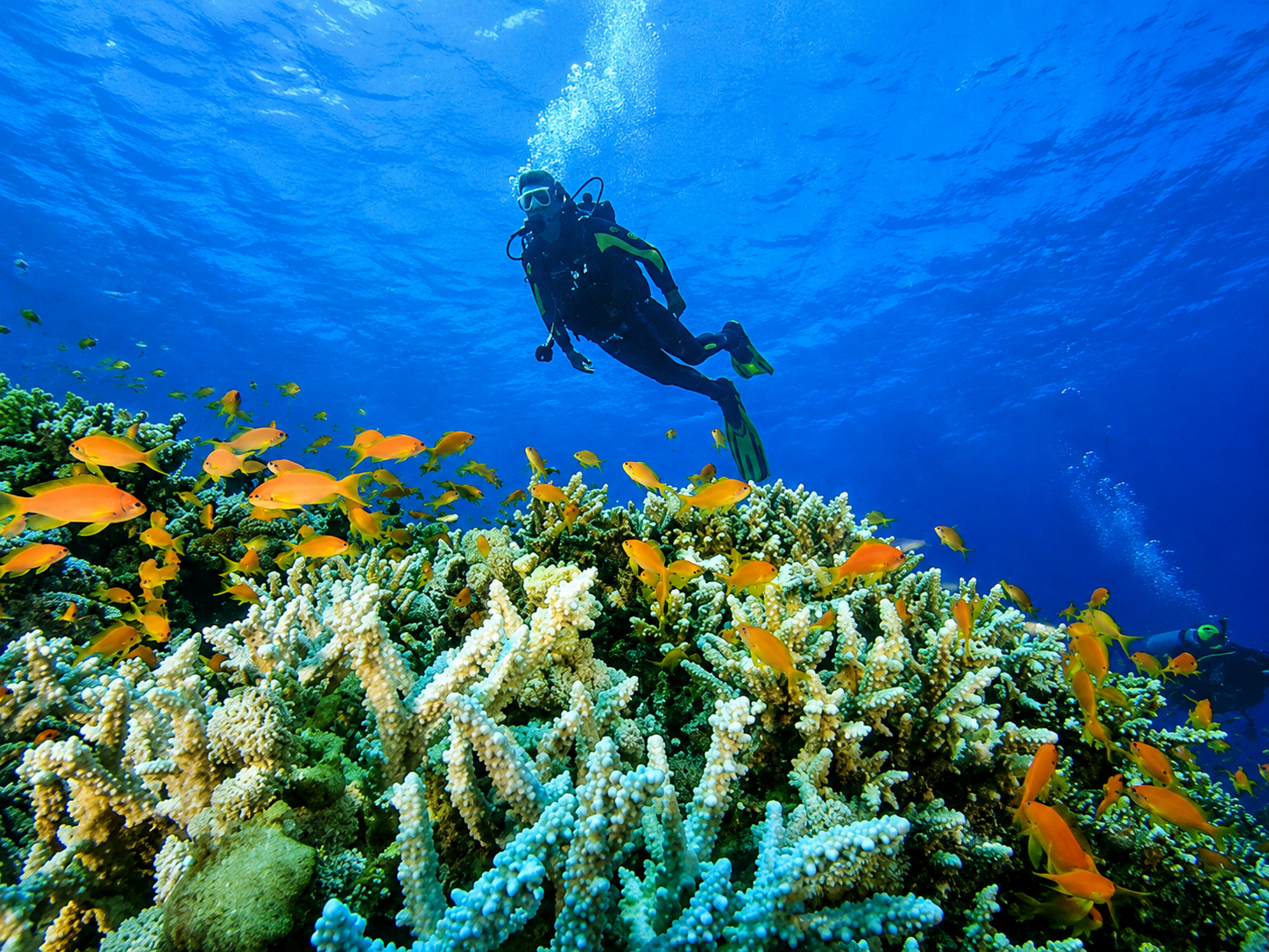 Escape to the Emerald Isles of Andaman